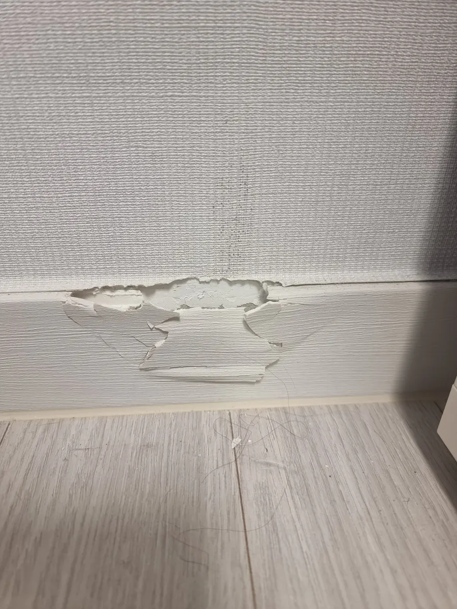 방문시트지보수 관련 시트지찢어짐보수 안내 - 상도푸르지오클라베뉴 걸레받이 찢어진 시트지 현장